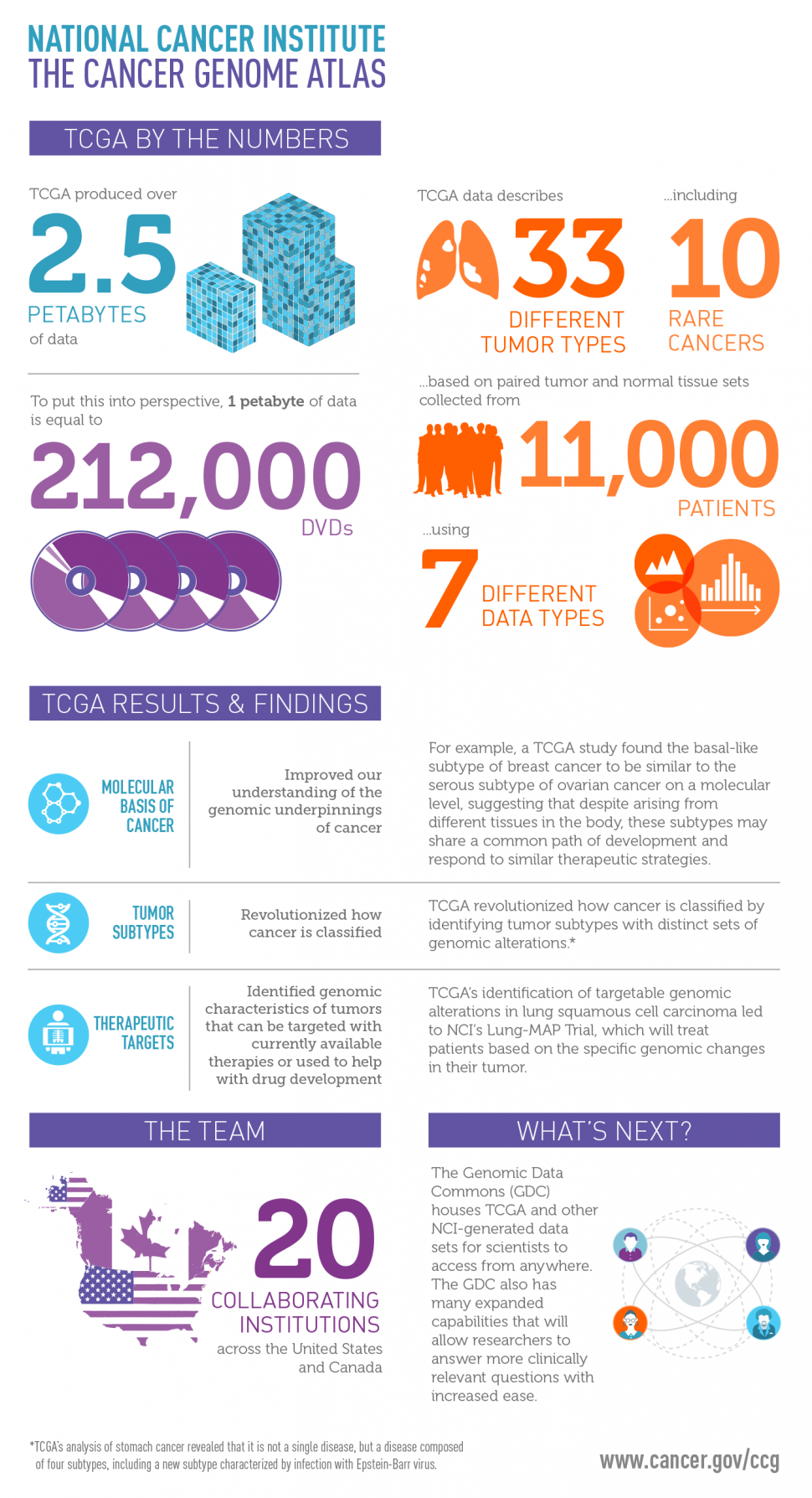 Behind The Scenes At The Cancer Genome Atlas   Tcga Infographic Enlarge 