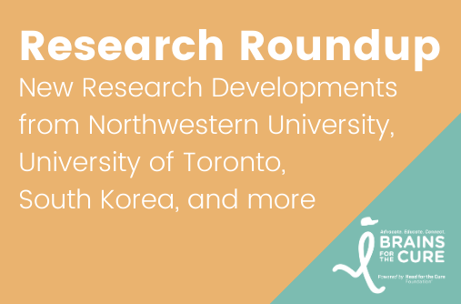 New Research Developments from Northwestern University, University of Toronto, South Korea, and more